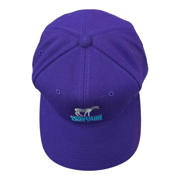 Northern Exposure TV Show Snapback Hat Vintage 1990 Yupoong Cap Trucker Baseball - Picture 6 of 14